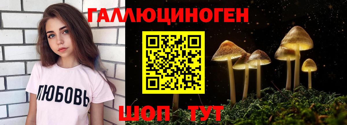 Нарткала  Псилоцибиновые грибы мицелий  Вход с VPN 